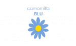 Camomilla Blu
